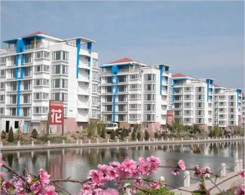 張店區舊村改造